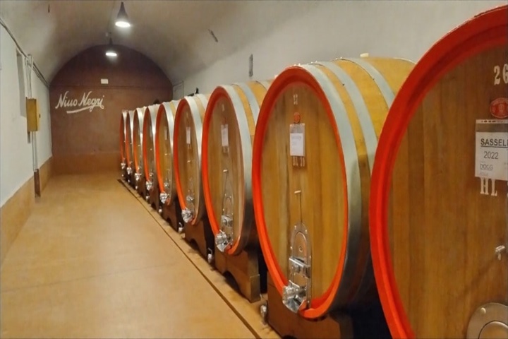 ヴァルテッリーナワイナリーツアー