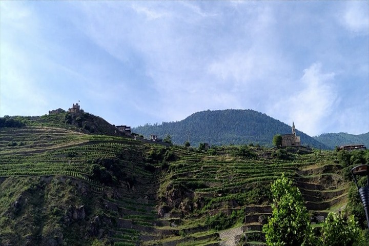 ヴァルテッリーナワイナリーツアー