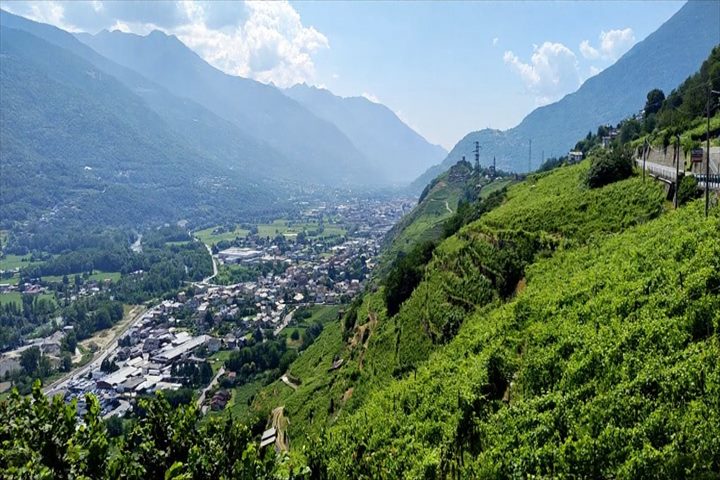 ヴァルテッリーナワイナリーツアー