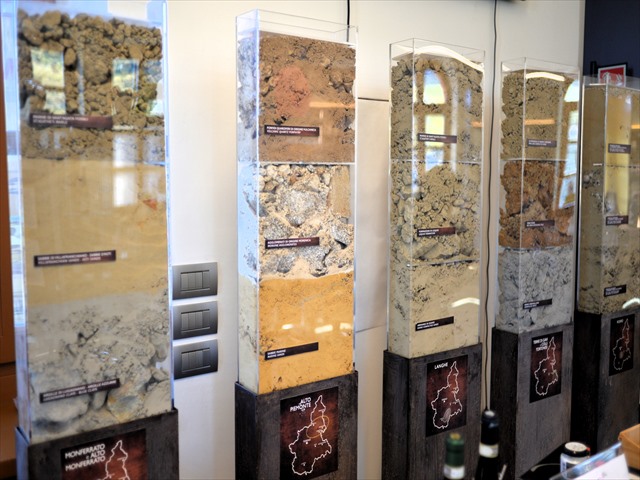 バローロ vs バルバレスコの違い|味・熟成・面積・歴史で比較【ピエモンテワイン解説】 2 バローロ地域土壌の違い